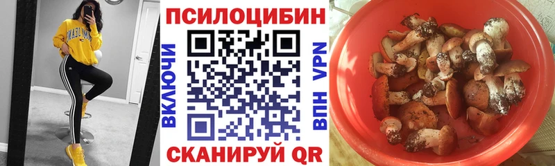 blacksprut ссылки  Яранск  Галлюциногенные грибы Psilocybe  купить наркотик 